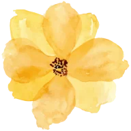 Moldura decorativa