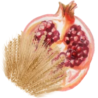 Elemento decorativo